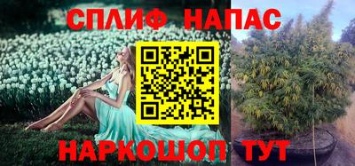 apvp Кунгур